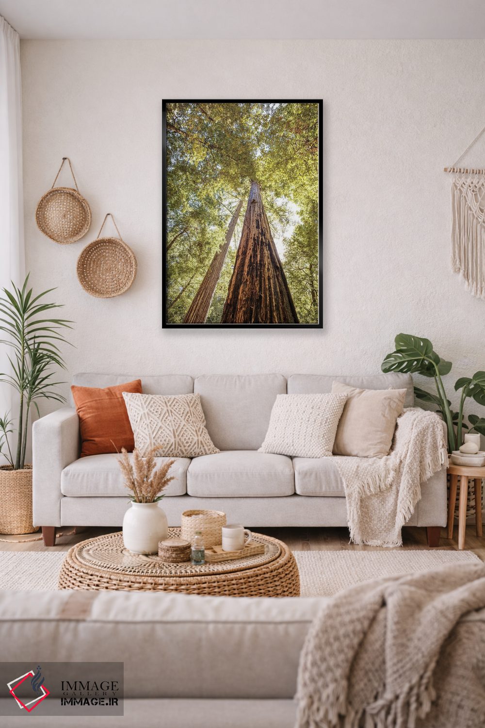 تابلو دکوراتیو بلندترین درختان سرخ چوب اثر جوزف اس. جیاکالونه - D4B