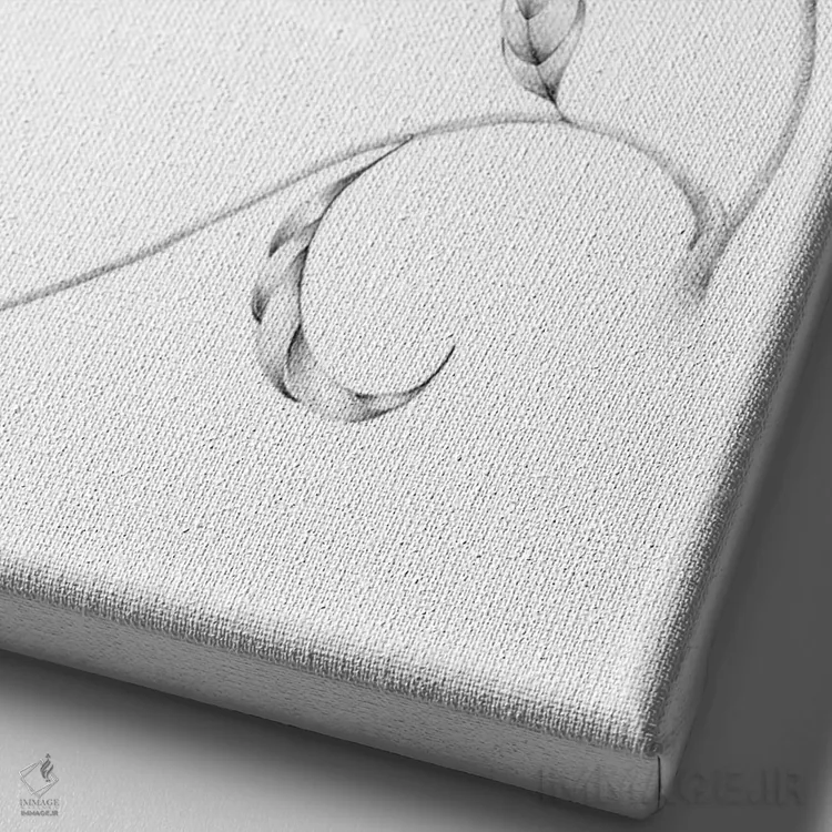 تابلو دکوراتیو مرغ مگس خوار I اثر جوانا هابر - نمای نزدیک بافت بوم