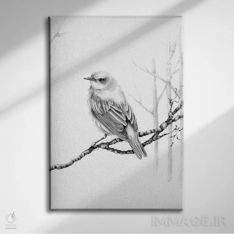 تابلو دکوراتیو پرنده سیاه و سفید اثر جوانا هابر - نمای روبهرو روی دیوار