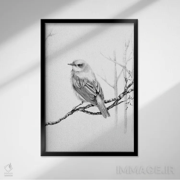 تابلو دکوراتیو پرنده سیاه و سفید اثر جوانا هابر - نمای قابدار مشکی