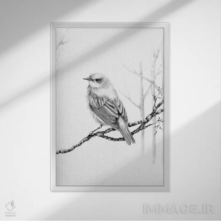 تابلو دکوراتیو پرنده سیاه و سفید اثر جوانا هابر - نمای قابدار سفید