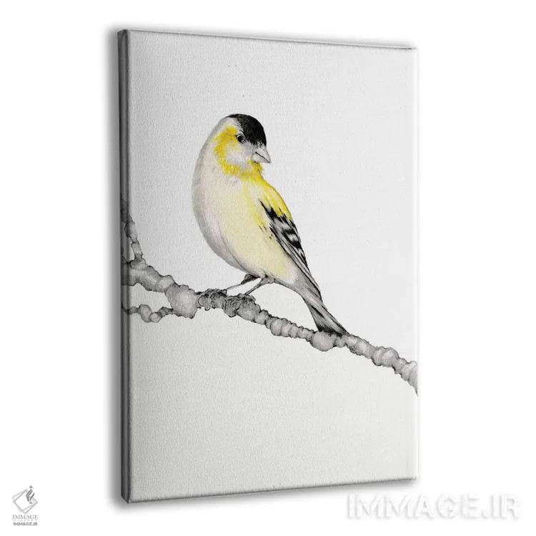 تابلو دکوراتیو پرنده زرد اثر جوانا هابر - نمای پرسپکتیو محصول