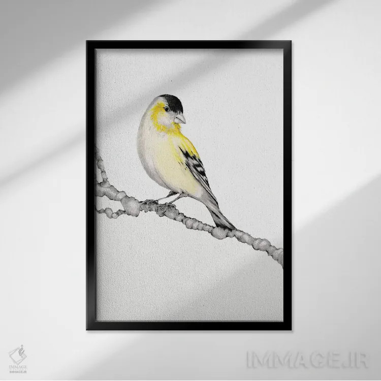 تابلو دکوراتیو پرنده زرد اثر جوانا هابر - نمای قابدار مشکی