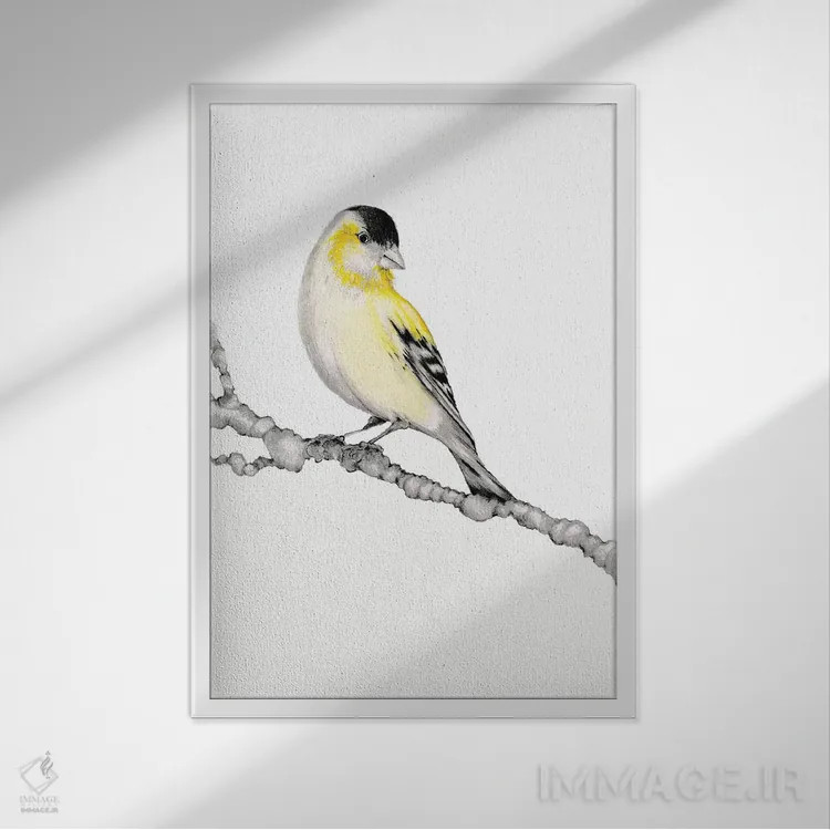 تابلو دکوراتیو پرنده زرد اثر جوانا هابر - نمای قابدار سفید