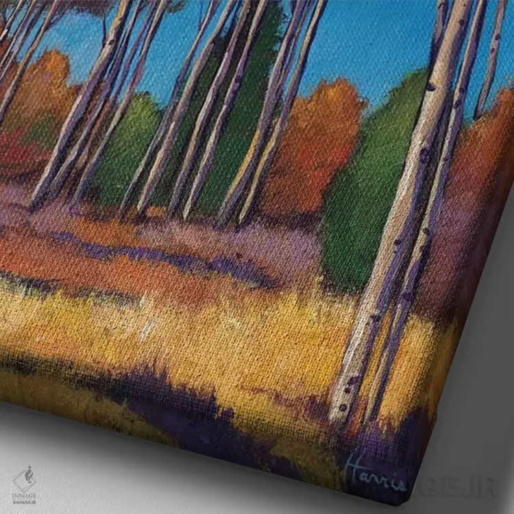 تابلو دکوراتیو بالاتر و دورتر اثر جاناتان هریس - نمای نزدیک بافت بوم