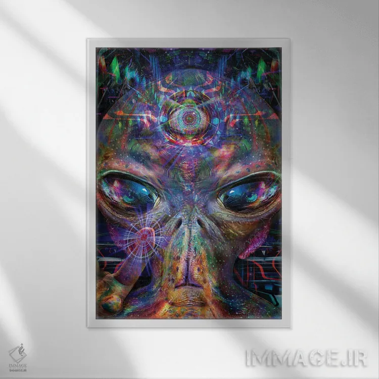 تابلو دکوراتیو لری اثر جامبی - نمای قابدار سفید