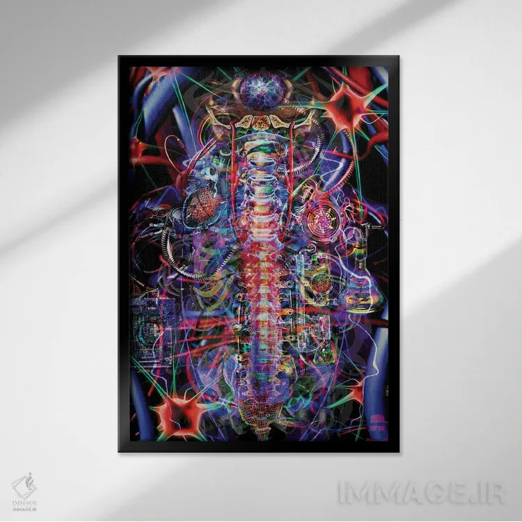 تابلو دکوراتیو ستون فقرات اثر جامبی - نمای قابدار مشکی