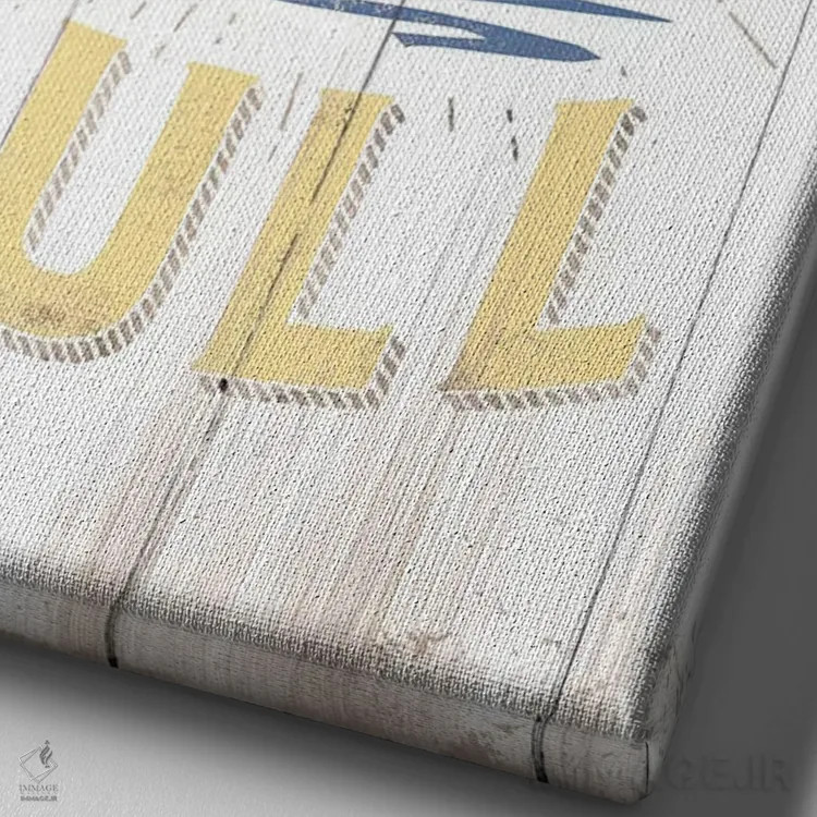 تابلو دکوراتیو شناور با مرغ دریایی ملاقات می کند اثر جی جی براندو - نمای نزدیک بافت بوم