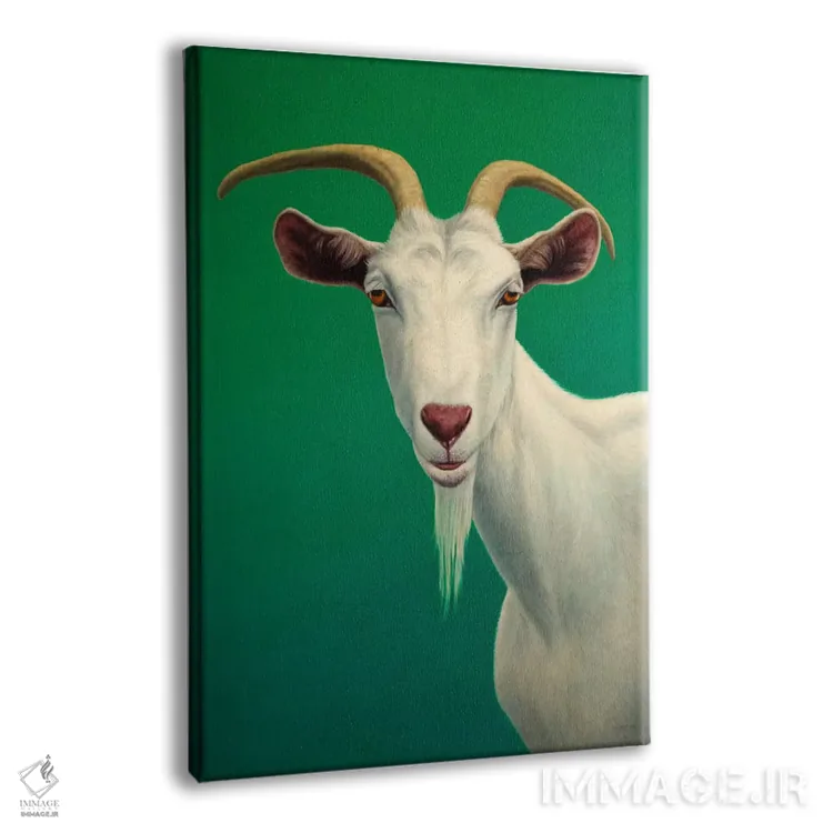 تابلو دکوراتیو پرتره یک بز اثر جیمز دبلیو جانسون - نمای پرسپکتیو محصول