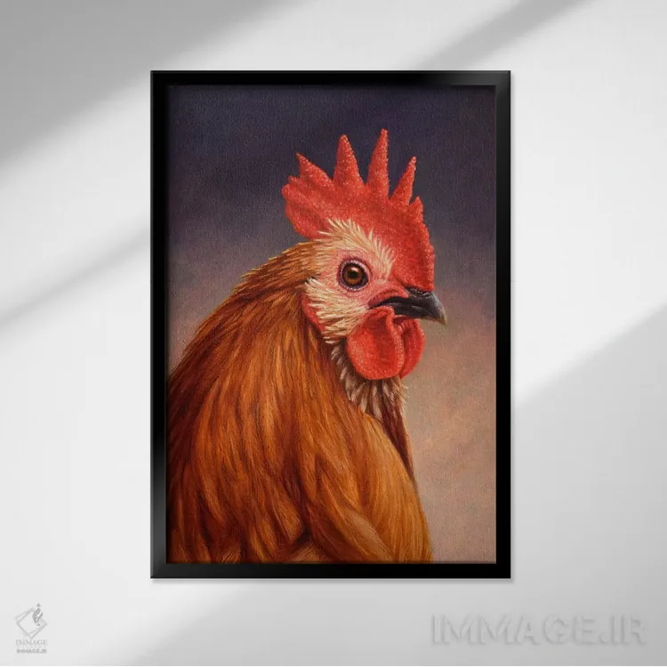 تابلو دکوراتیو خروس اثر جیمز دبلیو جانسون - نمای قابدار مشکی