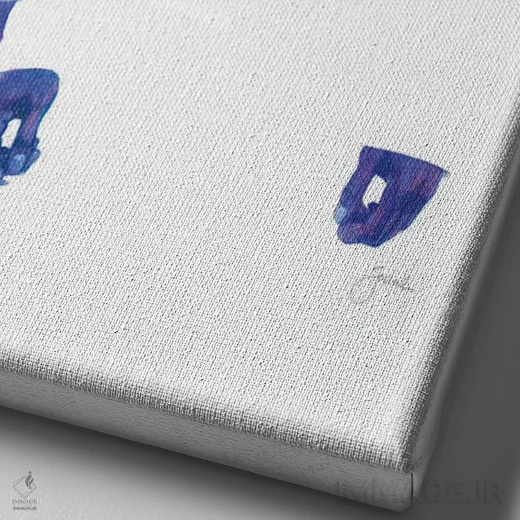 تابلو مینیمال شکم بهترین اثر جوزایا جونز - نمای نزدیک بافت بوم