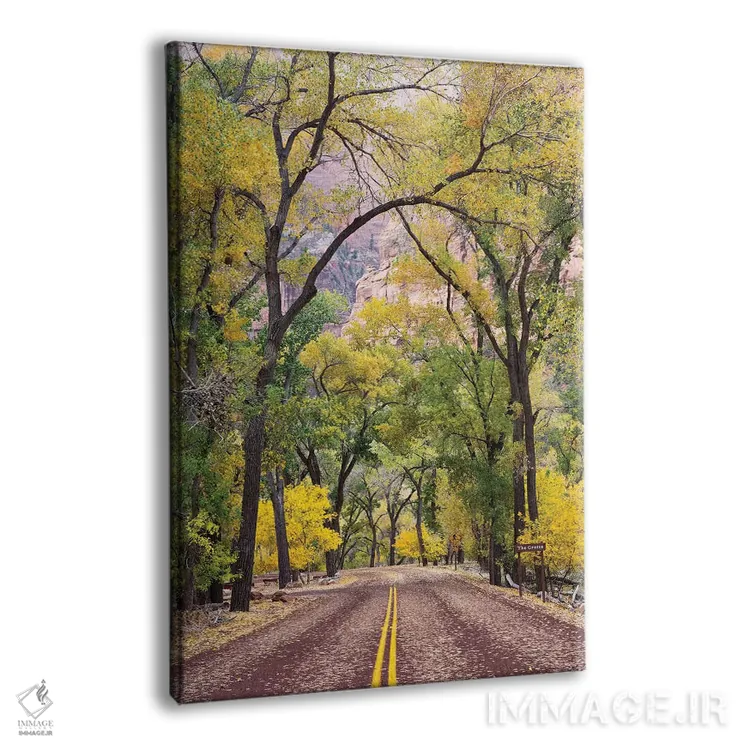 تابلو دکوراتیو Zion Canyon Scenic Drive , Zion National Park, Utah… اثر جیمی و جودی وایلد - نمای پرسپکتیو محصول