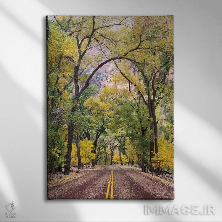 تابلو دکوراتیو Zion Canyon Scenic Drive , Zion National Park, Utah… اثر جیمی و جودی وایلد - نمای روبهرو روی دیوار