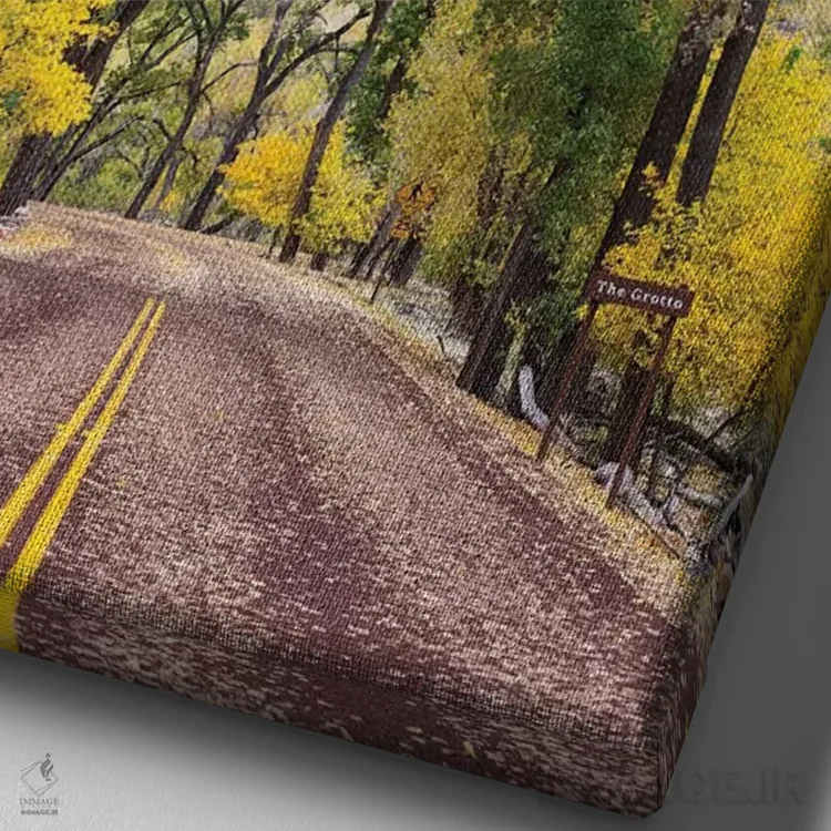 تابلو دکوراتیو Zion Canyon Scenic Drive , Zion National Park, Utah… اثر جیمی و جودی وایلد - نمای نزدیک بافت بوم