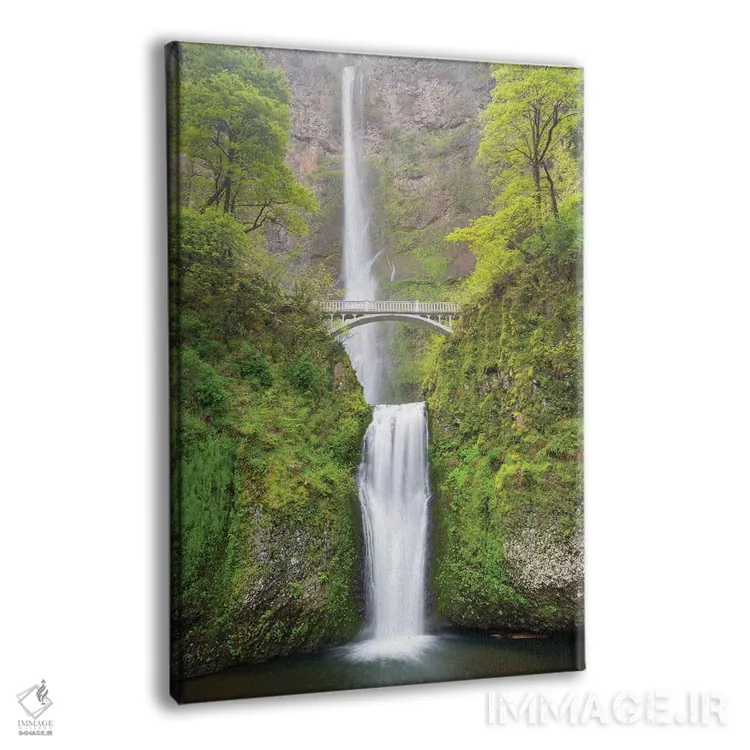 تابلو دکوراتیو Columbia River Gorge National Scenic Area, Multnomah… اثر جیمی و جودی وایلد - نمای پرسپکتیو محصول