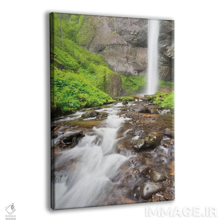تابلو دکوراتیو Columbia River Gorge National Scenic Area, Latourell… اثر جیمی و جودی وایلد - نمای پرسپکتیو محصول