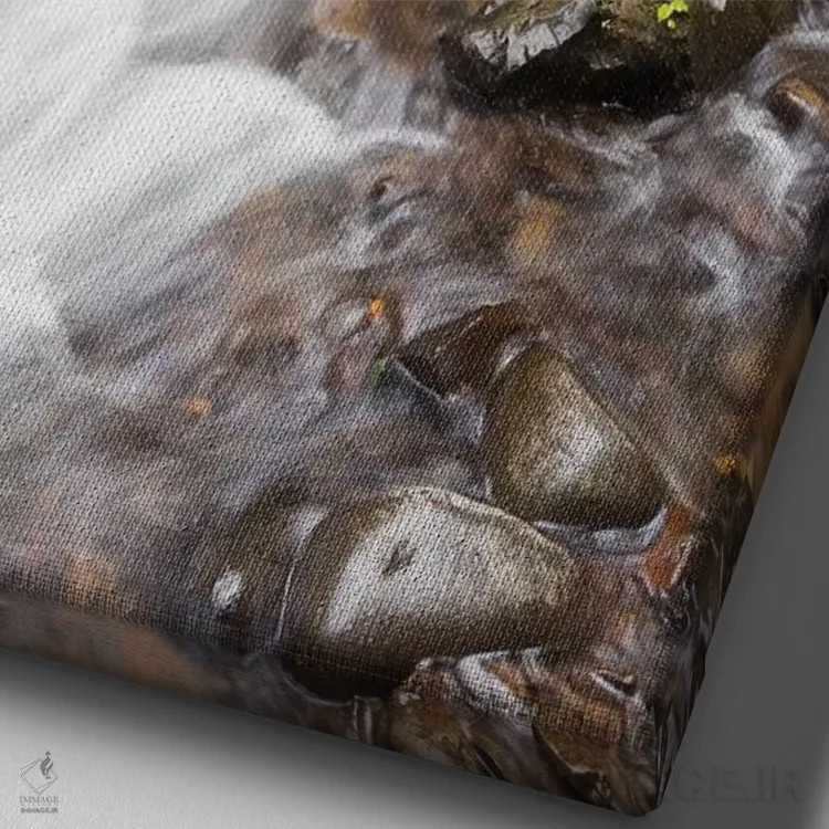 تابلو دکوراتیو Columbia River Gorge National Scenic Area, Latourell… اثر جیمی و جودی وایلد - نمای نزدیک بافت بوم