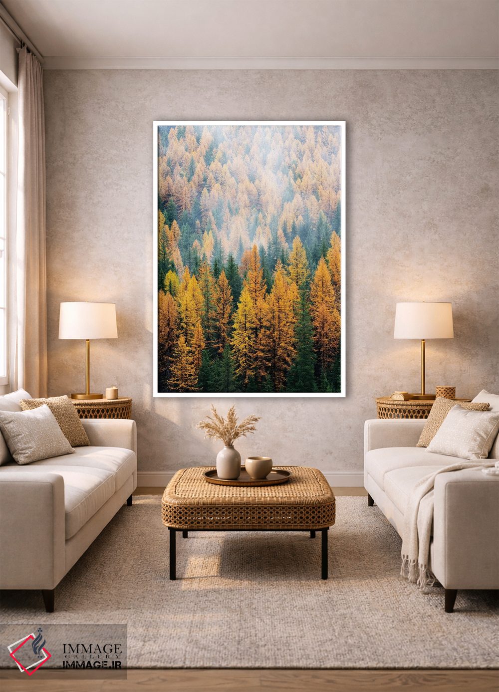 تابلو دکوراتیو Lolo National Forest, golden larch trees in fog I,مون… اثر جیمی و جودی وایلد - D1W