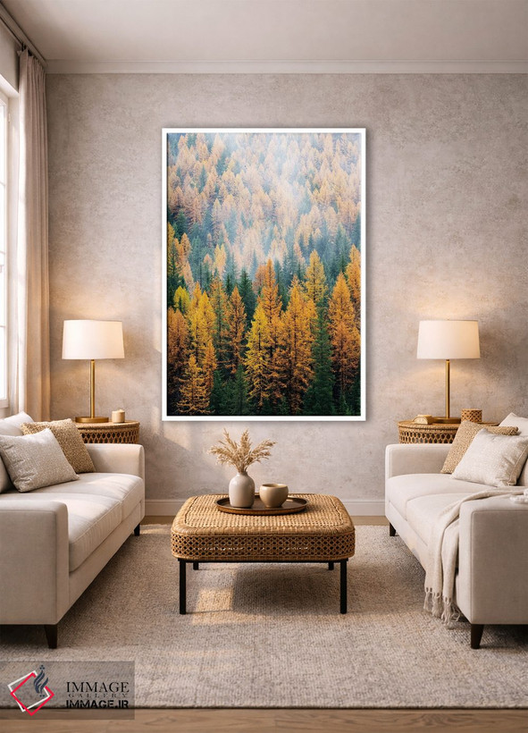 تابلو دکوراتیو Lolo National Forest, golden larch trees in fog I,مون… اثر جیمی و جودی وایلد - D1W