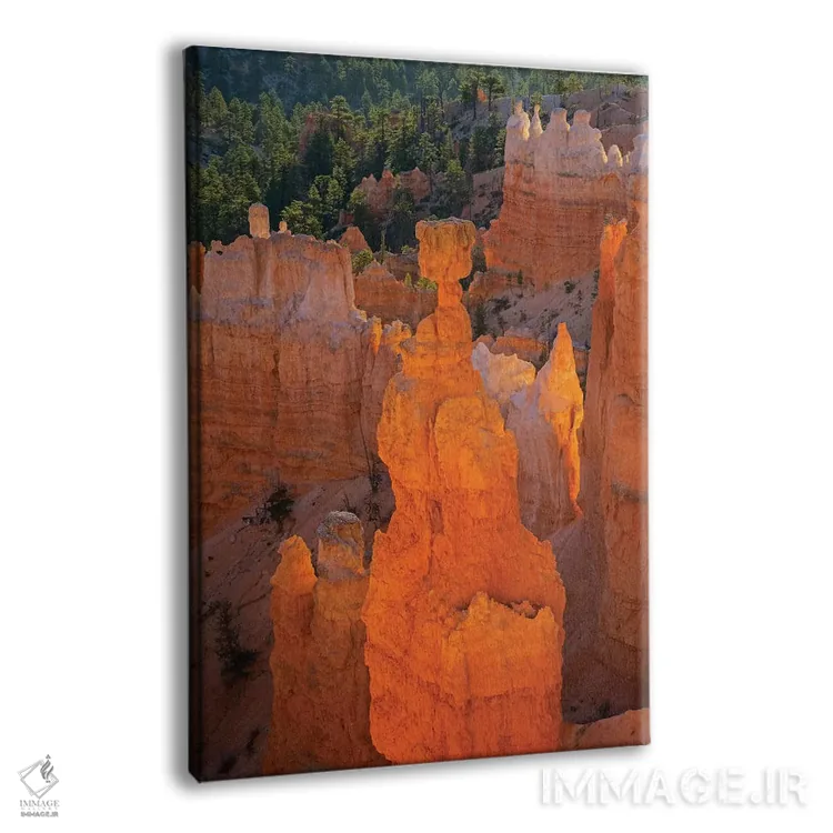 تابلو دکوراتیو Bryce Canyon National Park. Thor's Hammer,یوتا، پارک… اثر جیمی و جودی وایلد - نمای پرسپکتیو محصول