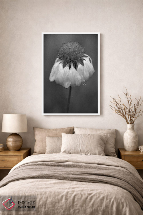 تابلو دکوراتیو Washington State, Redmond. Firewheel or Indian blanke… اثر جیمی و جودی وایلد - D1W