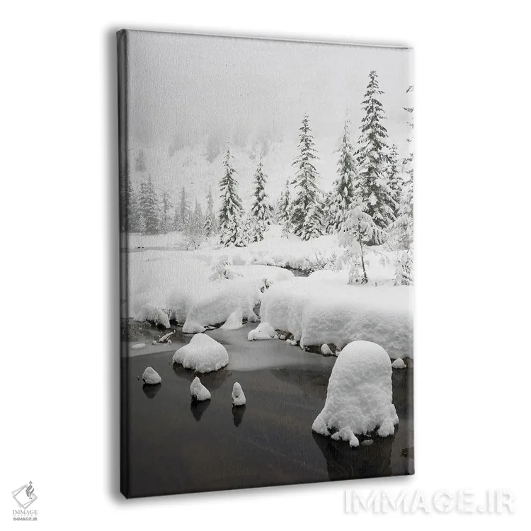 تابلو دکوراتیو Central Cascades Winter Scene At Granite Lake,ایالت و… اثر جیمی و جودی وایلد - نمای پرسپکتیو محصول