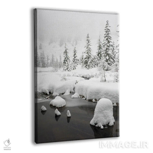 تابلو دکوراتیو Central Cascades Winter Scene At Granite Lake,ایالت و… اثر جیمی و جودی وایلد - نمای پرسپکتیو محصول