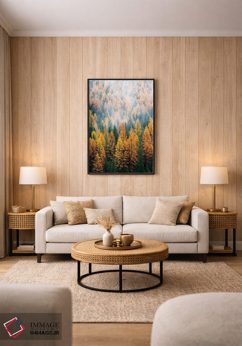 تابلو دکوراتیو Lolo National Forest, golden larch trees in fog I,مون… اثر جیمی و جودی وایلد - D2B