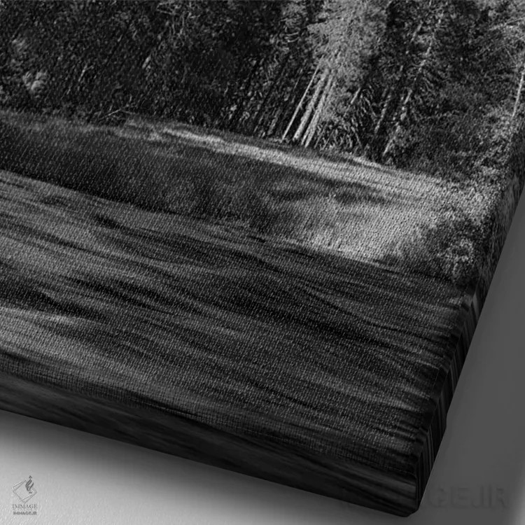 تابلو دکوراتیو Yosemite National Park. El Capitan And Merced River,ک… اثر جیمی و جودی وایلد - نمای نزدیک بافت بوم