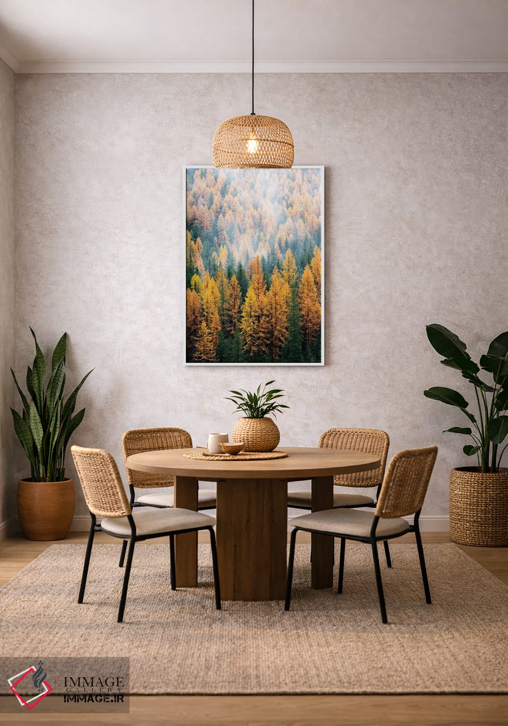 تابلو دکوراتیو Lolo National Forest, golden larch trees in fog I,مون… اثر جیمی و جودی وایلد - D3W
