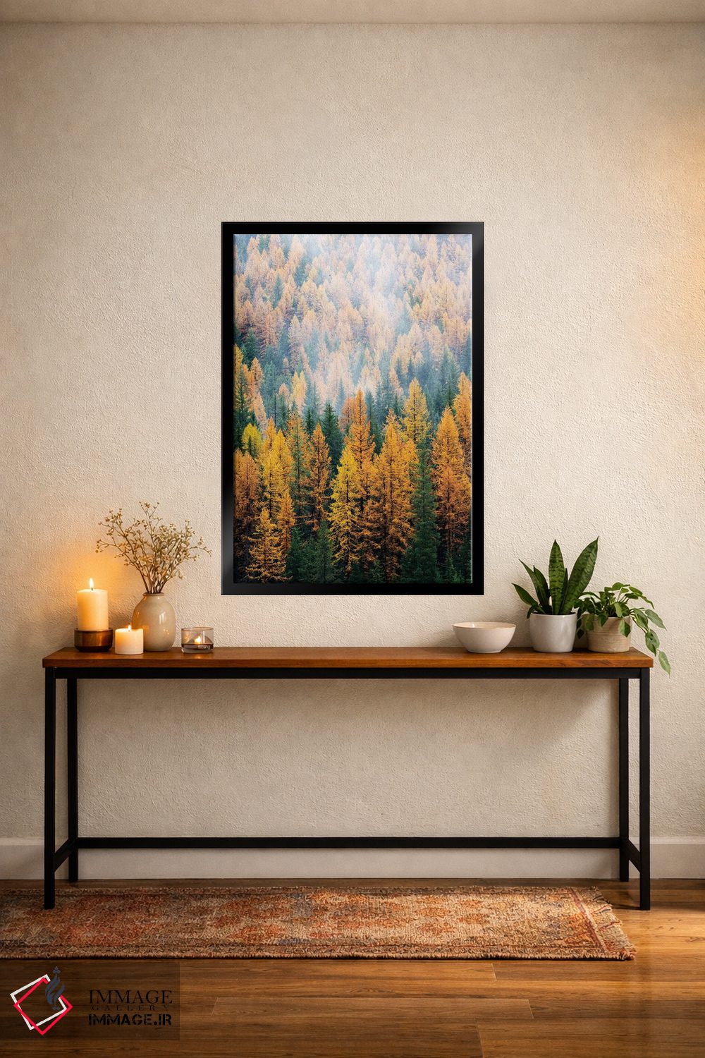تابلو دکوراتیو Lolo National Forest, golden larch trees in fog I,مون… اثر جیمی و جودی وایلد - D5B