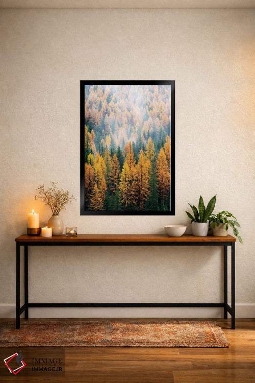 تابلو دکوراتیو Lolo National Forest, golden larch trees in fog I,مون… اثر جیمی و جودی وایلد - D5B