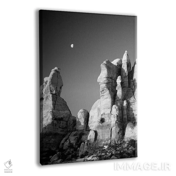 تابلو دکوراتیو Canyonlands National Park, The Needles. Moon Setting… اثر جیمی و جودی وایلد - نمای پرسپکتیو محصول
