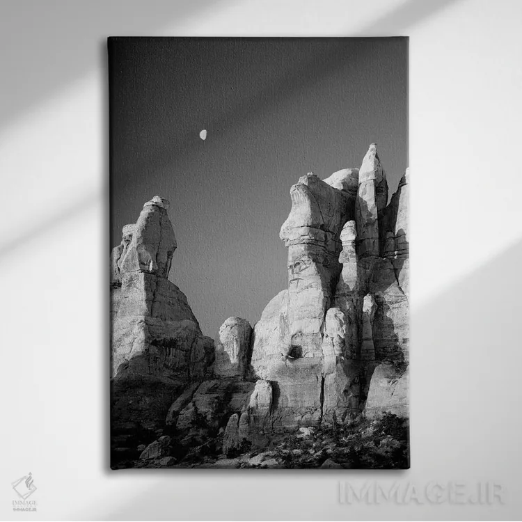 تابلو دکوراتیو Canyonlands National Park, The Needles. Moon Setting… اثر جیمی و جودی وایلد - نمای روبهرو روی دیوار