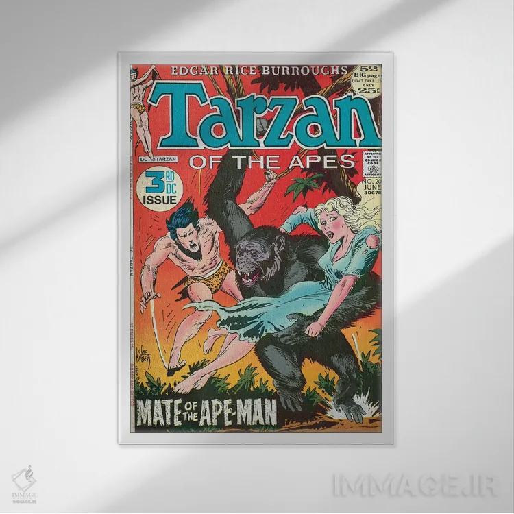 تابلو دکوراتیو دی سی تارزان؟ شماره ۲۰۹ اثر جو کوبرت - نمای قابدار سفید