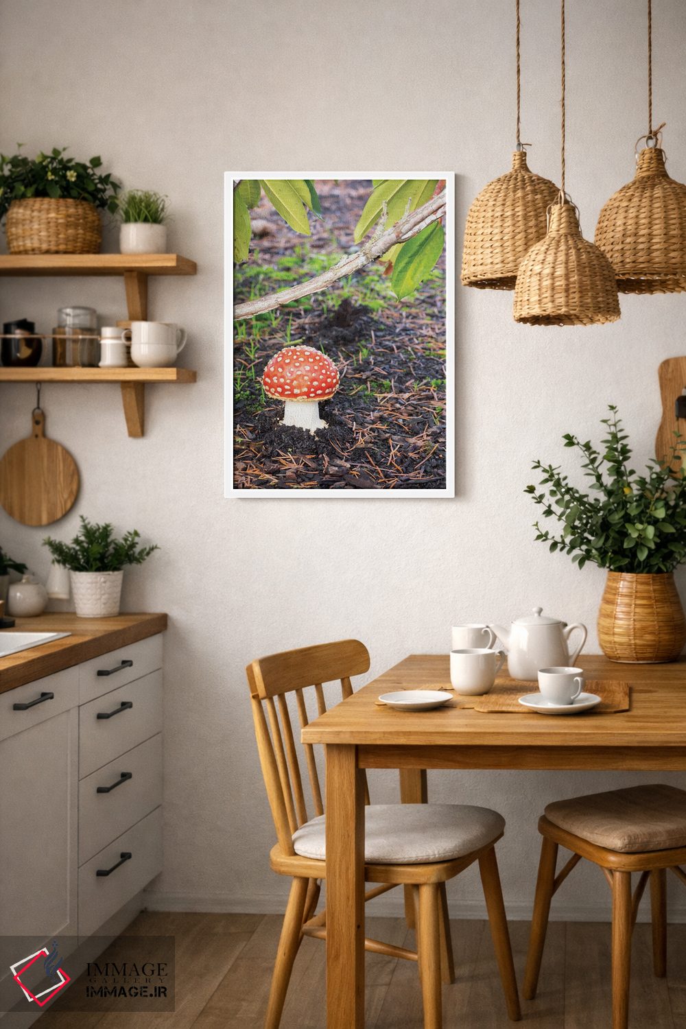 تابلو دکوراتیو Fly Agaric Mushroom,ایالت واشینگتن، قارچ آمانیتا موسک… اثر جیمی و جودی وایلد - D2W