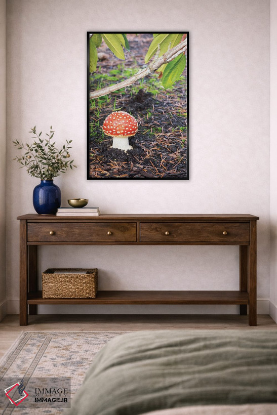 تابلو دکوراتیو Fly Agaric Mushroom,ایالت واشینگتن، قارچ آمانیتا موسک… اثر جیمی و جودی وایلد - D5B