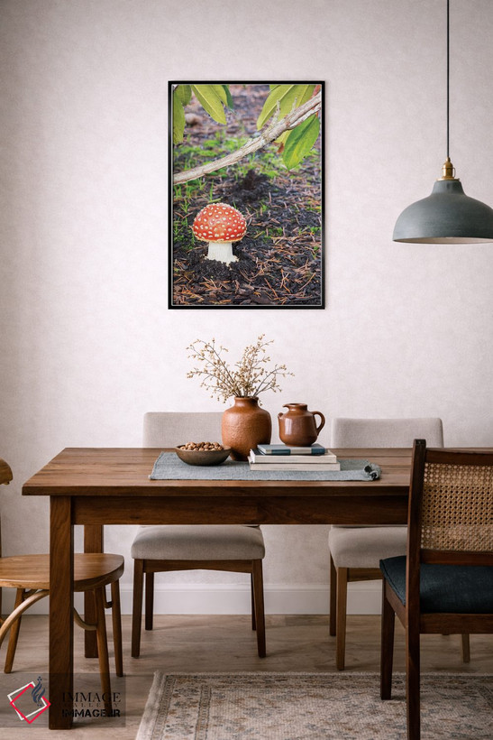 تابلو دکوراتیو Fly Agaric Mushroom,ایالت واشینگتن، قارچ آمانیتا موسک… اثر جیمی و جودی وایلد - D6B