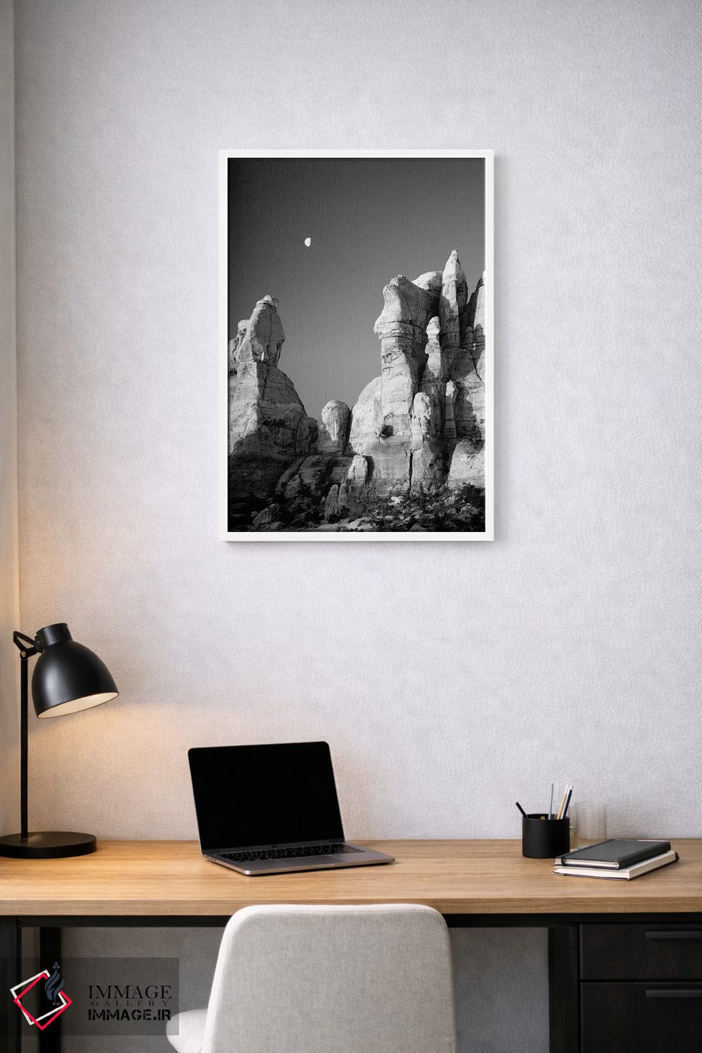 تابلو دکوراتیو Canyonlands National Park, The Needles. Moon Setting… اثر جیمی و جودی وایلد - D1W