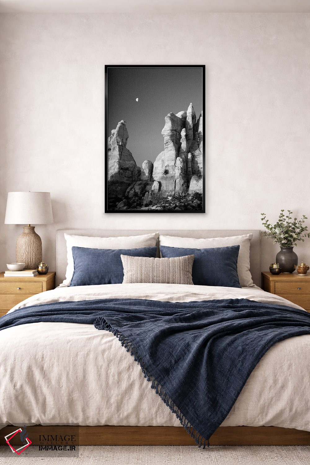 تابلو دکوراتیو Canyonlands National Park, The Needles. Moon Setting… اثر جیمی و جودی وایلد - D6B