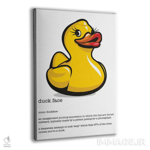 تابلو دکوراتیو تعریف چهره اردکی اثر جیمز لی - نمای پرسپکتیو محصول
