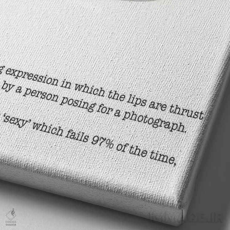 تابلو دکوراتیو تعریف چهره اردکی اثر جیمز لی - نمای نزدیک بافت بوم