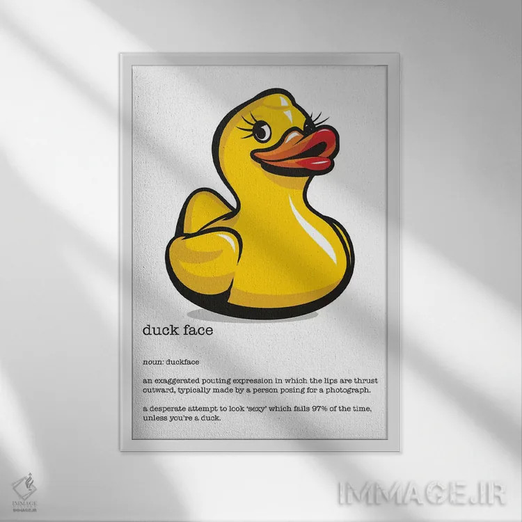 تابلو دکوراتیو تعریف چهره اردکی اثر جیمز لی - نمای قابدار سفید