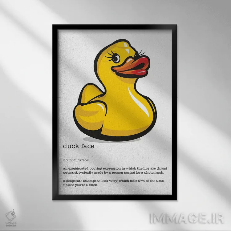 تابلو دکوراتیو تعریف چهره اردکی اثر جیمز لی - نمای قابدار مشکی