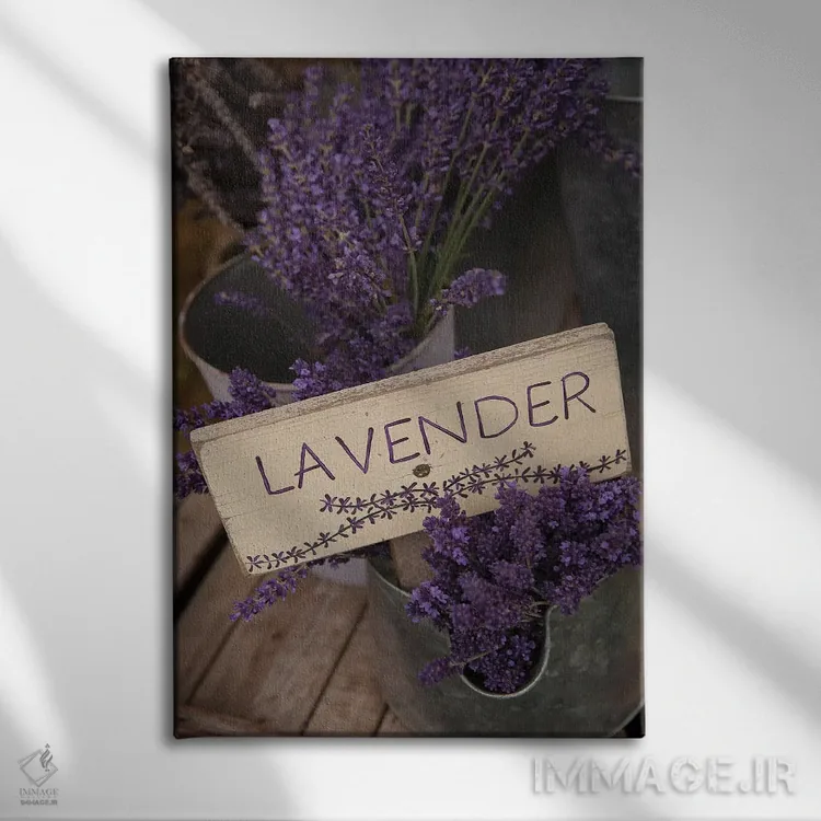 تابلو مدرن Sequim, Clallam County, Washington, USA,اسطوخودوس خشک برای فروش… اثر مریل ایماجز - نمای روبهرو روی دیوار