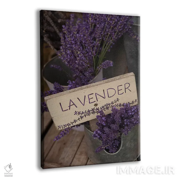 تابلو مدرن Sequim, Clallam County, Washington, USA,اسطوخودوس خشک برای فروش… اثر مریل ایماجز - نمای پرسپکتیو محصول