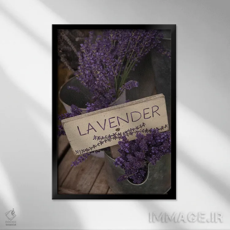 تابلو مدرن Sequim, Clallam County, Washington, USA,اسطوخودوس خشک برای فروش… اثر مریل ایماجز - نمای قابدار مشکی