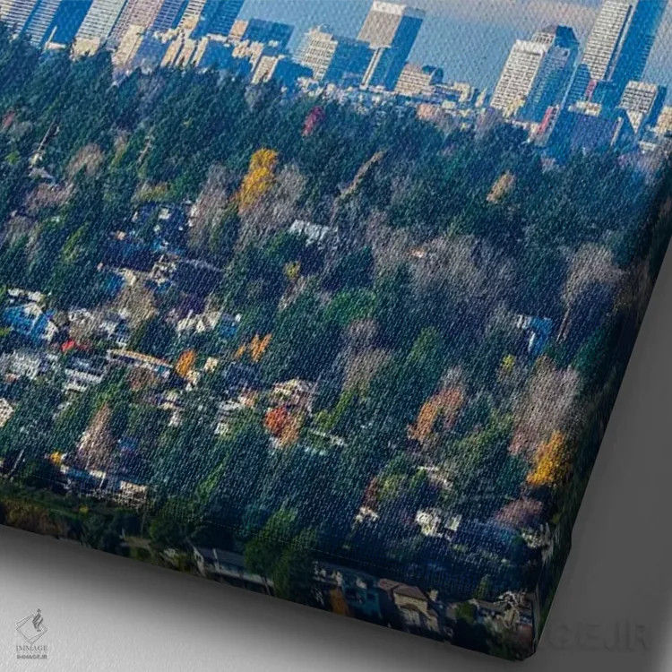 تابلو دکوراتیو Washington State. Seattle skyline and Olympic mountains,آمر… اثر مریل ایماجز - نمای نزدیک بافت بوم