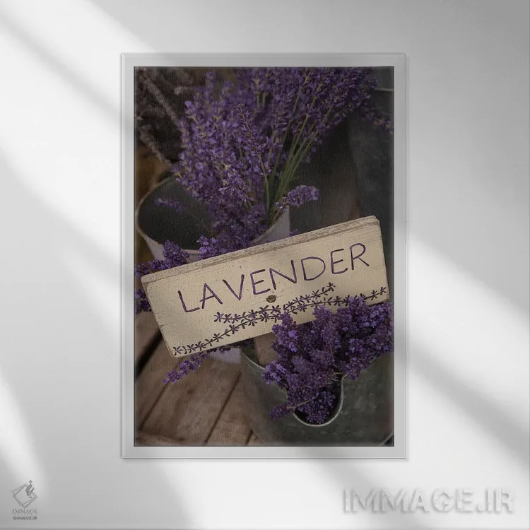 تابلو مدرن Sequim, Clallam County, Washington, USA,اسطوخودوس خشک برای فروش… اثر مریل ایماجز - نمای قابدار سفید