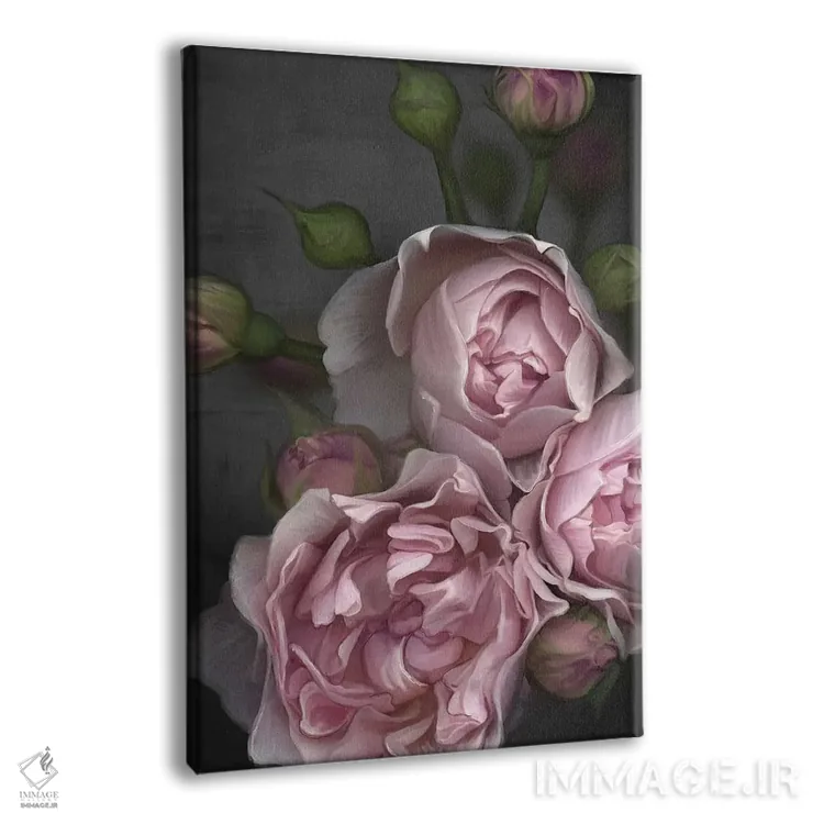 تابلو دکوراتیو صدتومانی صورتی اثر جولیانا لوومر - نمای پرسپکتیو محصول